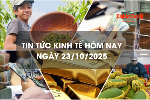 Tin tức kinh tế 23/10: xuất khẩu rau quả tăng trưởng bứt phá