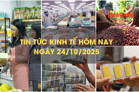 Tin tức kinh tế 24/10: xuất khẩu cà phê cao nhất từ trước đến nay