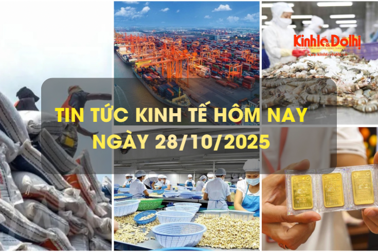 Tin tức kinh tế 28/10: xuất khẩu tôm Việt Nam phục hồi mạnh mẽ