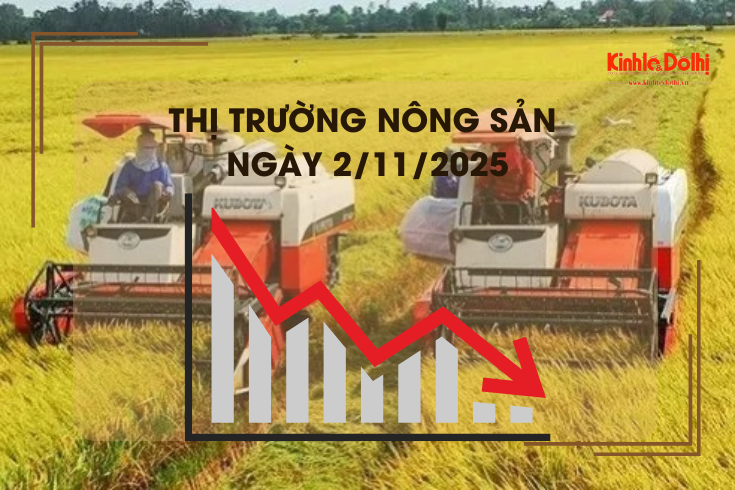 Thị trường nông sản ngày 2/11: giao dịch mua bán trầm lắng