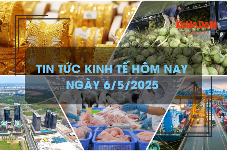 Tin tức kinh tế 6/5: giá dừa tươi tăng cao kỷ lục