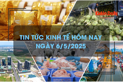Tin tức kinh tế 6/5: giá dừa tươi tăng cao kỷ lục
