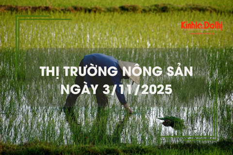 Thị trường nông sản ngày 3/11: giao dịch mua bán vắng