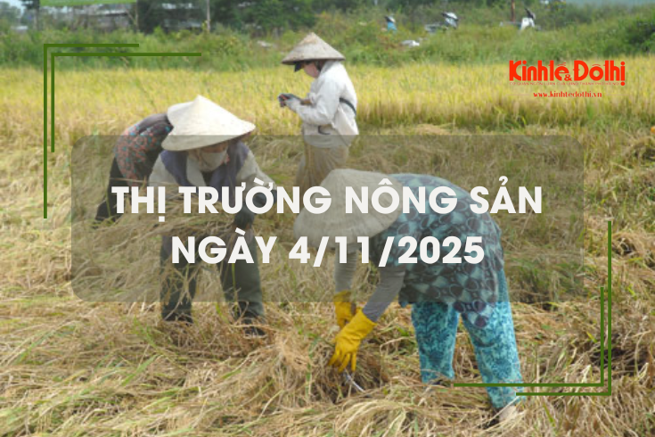Thị trường nông sản hôm nay ngày 4/11: gạo nguyên liệu giảm nhẹ