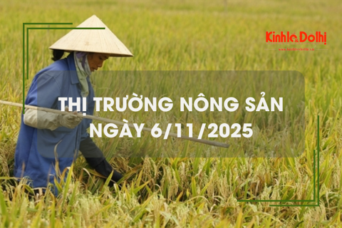 Thị trường nông sản ngày 6/11: giao dịch lúa gạo cầm chừng
