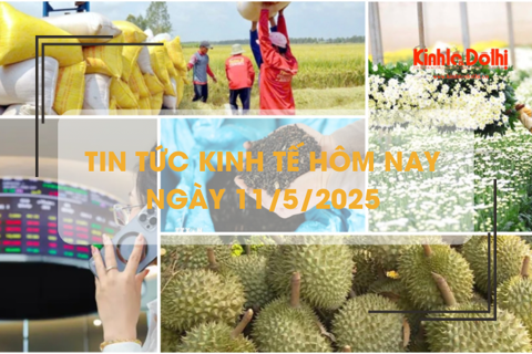 Tin tức kinh tế 11/5: xuất khẩu hồ tiêu tháng 4 tăng 58% về giá trị
