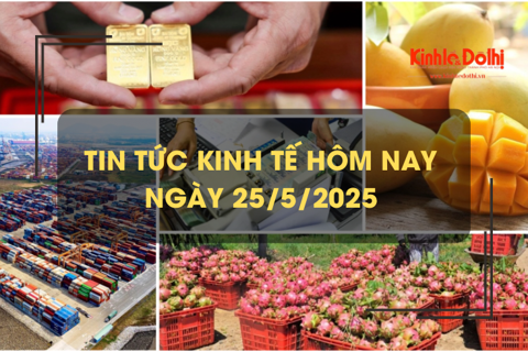 Tin tức kinh tế 25/5: xoài Việt Nam được ưa chuộng tại thị trường Trung Quốc
