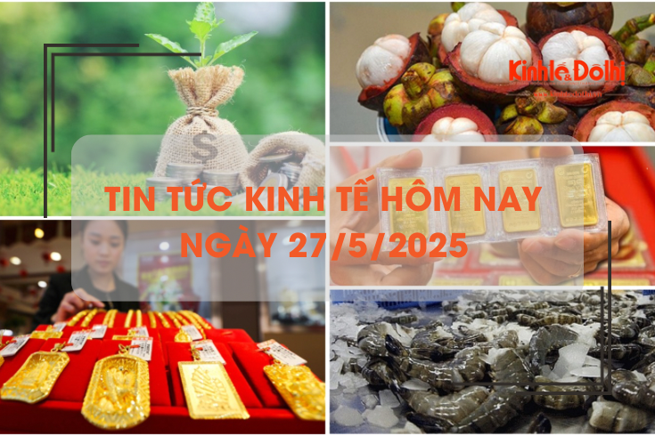 Tin tức kinh tế 27/5: xuất khẩu tôm Việt tăng mạnh