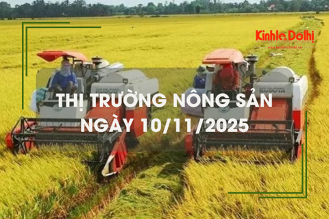 Thị trường nông sản ngày 10/11: gạo đi ngang, lúa tươi vững giá