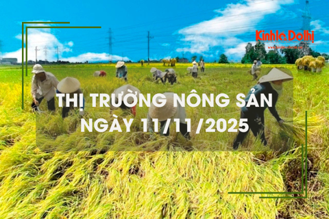 Thị trường nông sản ngày 11/11: nhu cầu lúa mới chậm, ít biến động