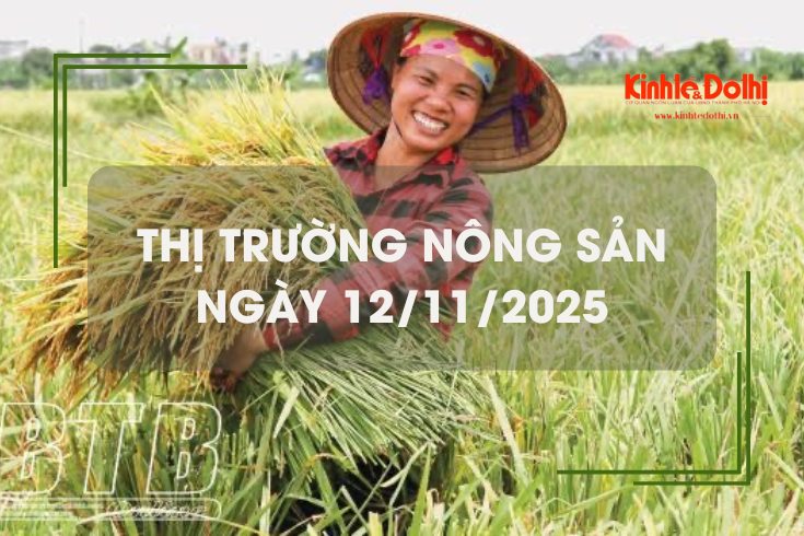 Thị trường nông sản ngày 12/11: gạo Nàng Nhen cao nhất 28.000 đồng/kg