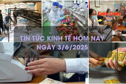 Tin tức kinh tế 3/6: Hà Nội thu ngân sách 5 tháng đạt hơn 362.000 tỷ đồng
