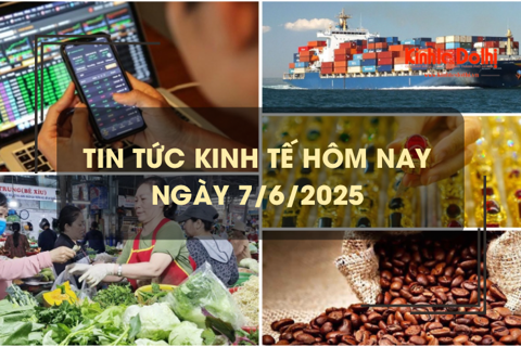 Tin tức kinh tế 7/6: giá cước vận tải biển tăng sốc