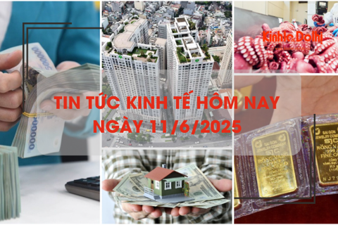 Tin tức kinh tế 11/6: thu từ đất đai, tiền sử dụng đất tăng gần 250%