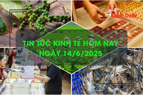 Tin tức kinh tế 14/6: giá tôm tăng cao nhất trong vòng 1 năm