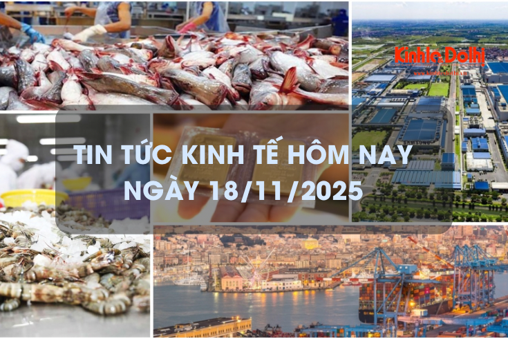 Tin tức kinh tế 18/11: xuất khẩu tôm tăng mạnh ở các thị trường lớn