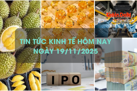 Tin tức kinh tế 19/11: giá vàng bật tăng trở lại