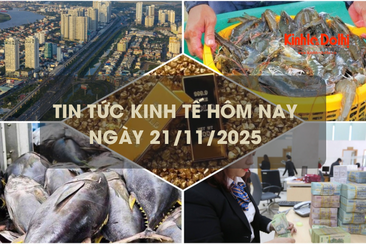 Tin tức kinh tế 21/11: VASEP dự báo xuất khẩu cá ngừ cuối năm khó bứt phá