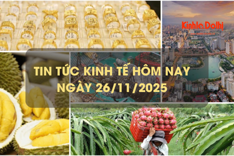 Tin tức kinh tế 26/11: tôm hùm Việt Nam bứt tốc, lập kỷ lục 712 triệu USD