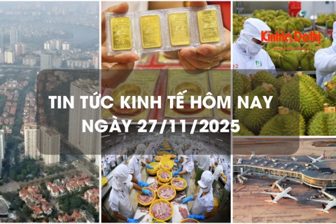 Tin tức kinh tế 28/11: rau quả lập kỷ lục mới về xuất khẩu