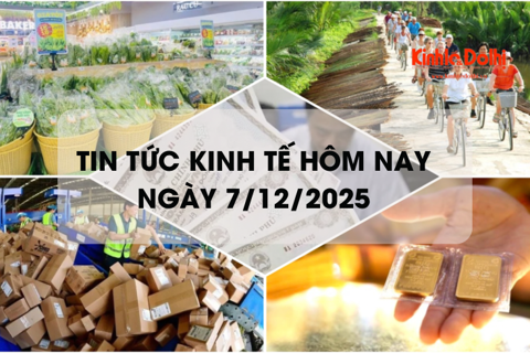 Tin tức kinh tế 7/12: thu 1.082 tỷ đồng thuế VAT từ hàng hóa trị giá thấp