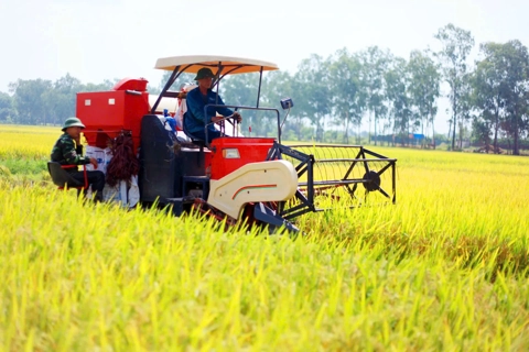 Đưa công nghệ sinh học vào sản xuất nông nghiệp: Tạo động lực phát triển bền vững