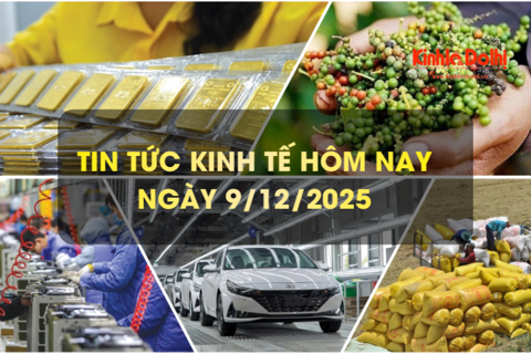 Tin tức kinh tế 9/12: xuất khẩu hồ tiêu đạt trên 1,5 tỷ USD