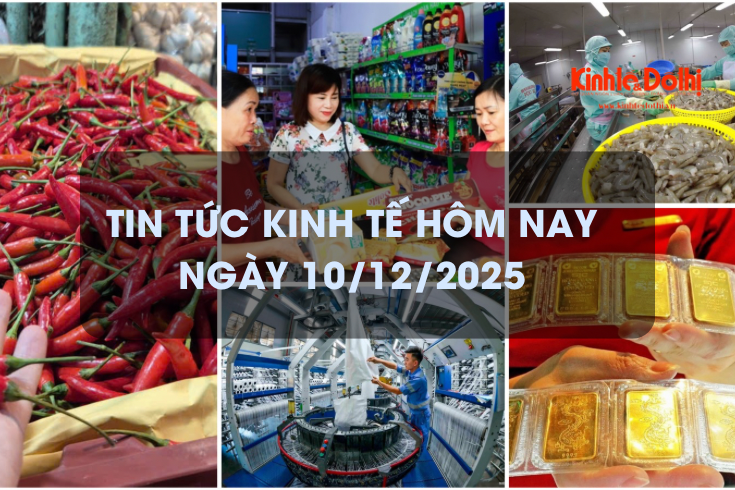 Tin tức kinh tế 10/12: xuất khẩu tôm lập kỷ lục