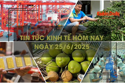 Tin tức kinh tế 25/6: xuất nhập khẩu đạt trên 390 tỷ USD