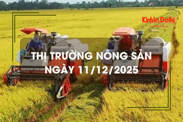 Thị trường nông sản ngày 11/12: giá gạo giảm nhẹ