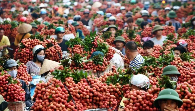 Hình ảnh 1