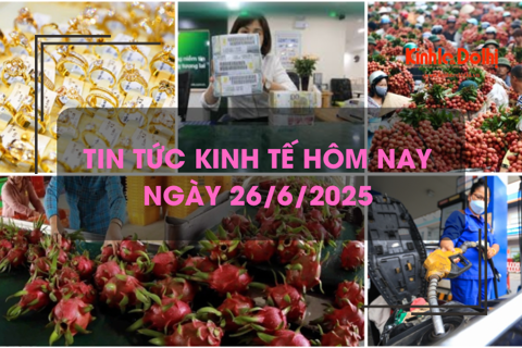 Tin tức kinh tế 26/6: vải thiều Lục Ngạn rớt giá