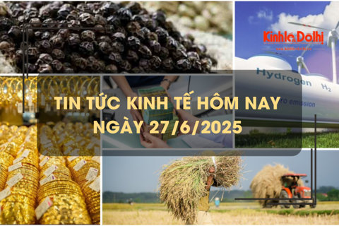 Tin tức kinh tế 27/6: Trung Quốc tăng cường nhập khẩu tiêu từ Việt Nam