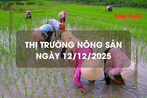 Thị trường nông sản ngày 12/12: gạo nguyên liệu xuất khẩu giảm nhẹ