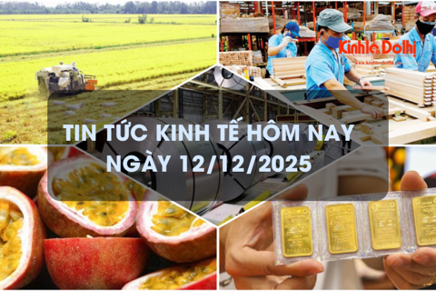Tin tức kinh tế 12/12: xuất khẩu chanh leo lập kỷ lục