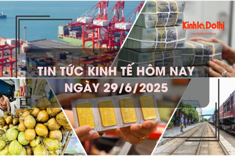 Tin tức kinh tế 29/6: giá dừa tăng kỷ lục