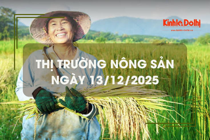 Thị trường nông sản ngày 13/12: gạo thơm neo giá cao