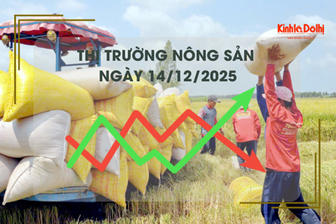 Thị trường nông sản ngày 14/12: nguồn cung lúa tươi còn ít