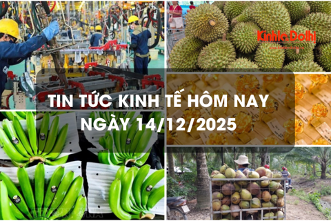 Tin tức kinh tế 14/12: giá vàng neo cao
