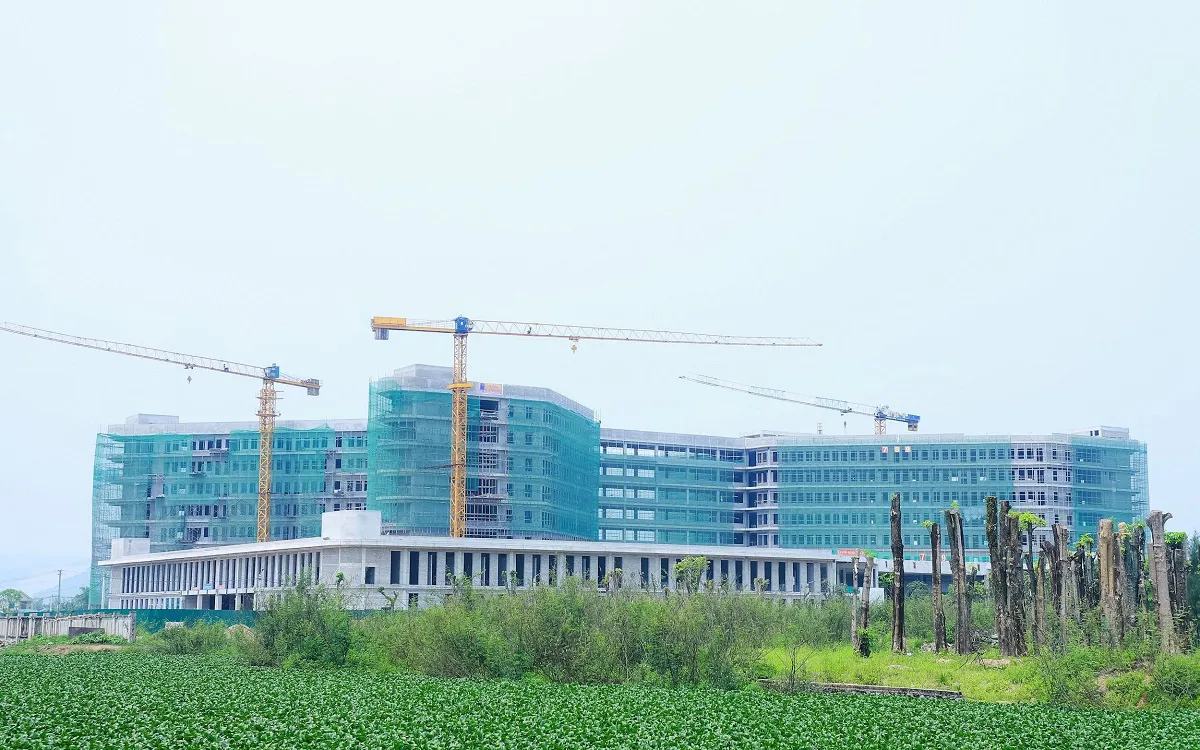 Hình ảnh 1