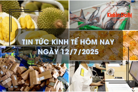 Tin tức kinh tế 12/7: xuất khẩu rau quả khó về đích
