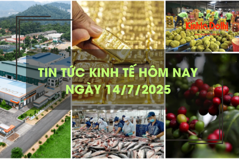 Tin tức kinh tế 14/7: giá thuê đất công nghiệp miền Bắc tiếp tục đi lên
