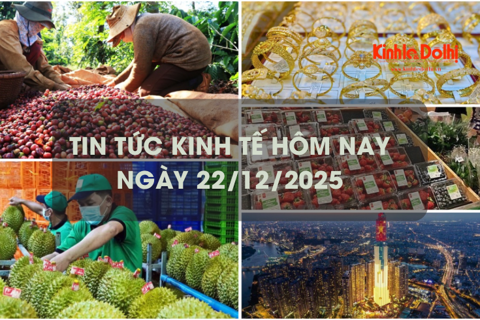 Tin tức kinh tế 22/12: xuất khẩu rau quả đạt 8,2 tỷ USD tính đến giữa tháng 12