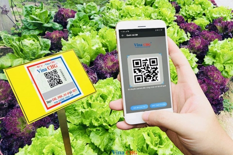 Truy xuất nguồn gốc: “Giấy thông hành” của hàng hóa xuất khẩu