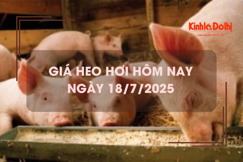 Giá heo hơi hôm nay 18/7: giảm trên cả 3 miền