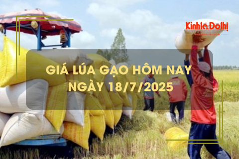 Giá lúa gạo hôm nay 18/7: gạo nguyên liệu giảm nhẹ