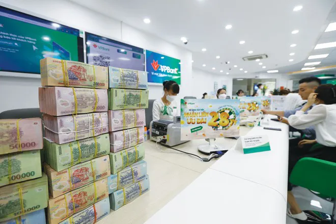 Hình ảnh 1