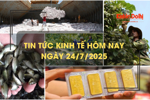 Tin tức kinh tế 24/7: giá xuất khẩu hồ tiêu cao nhất trong nhiều năm trở lại đây