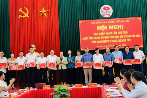 Đảm bảo quyền lợi cho cán bộ nông dân trong sắp xếp tổ chức bộ máy
