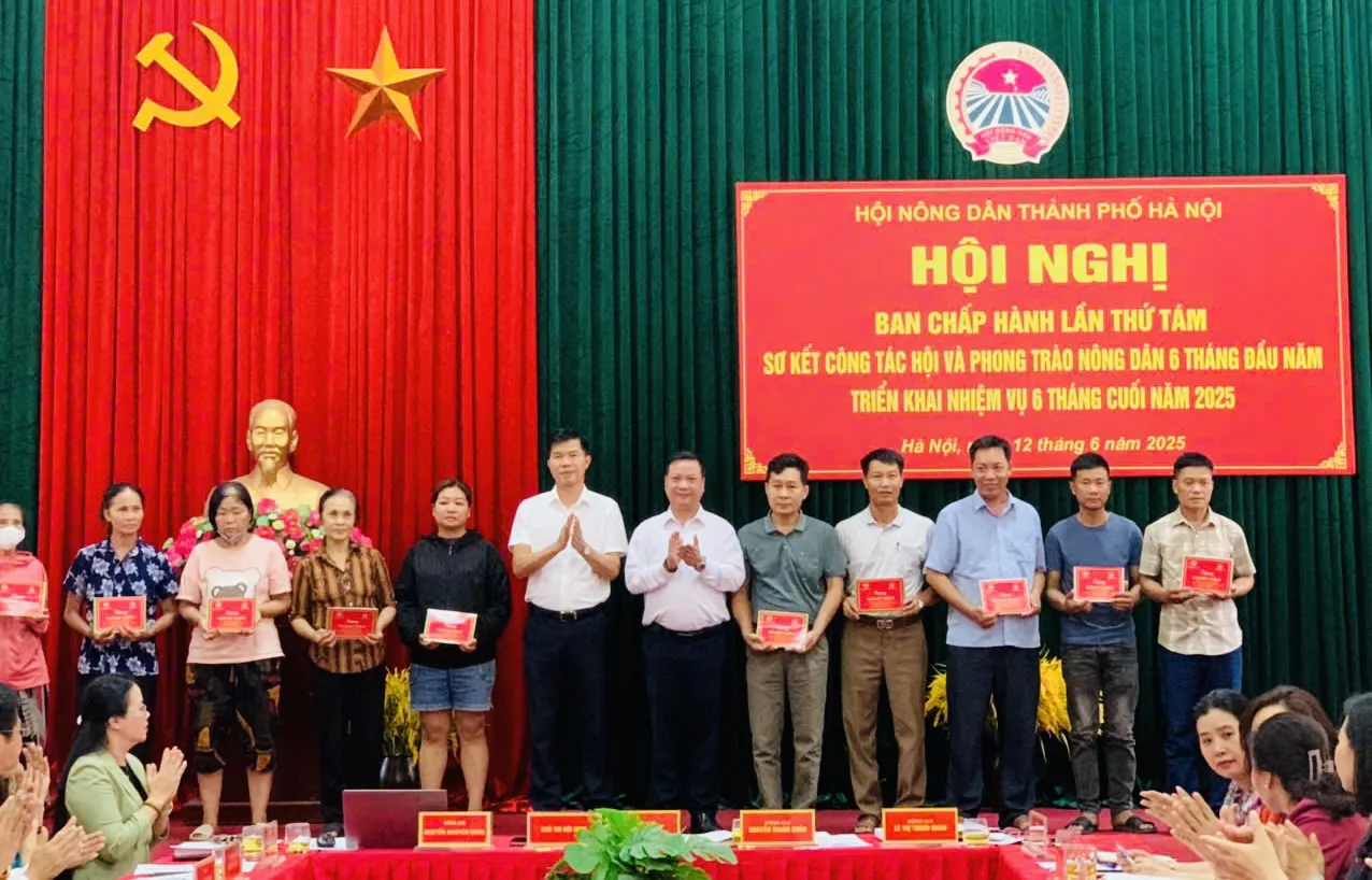 Hình ảnh 1